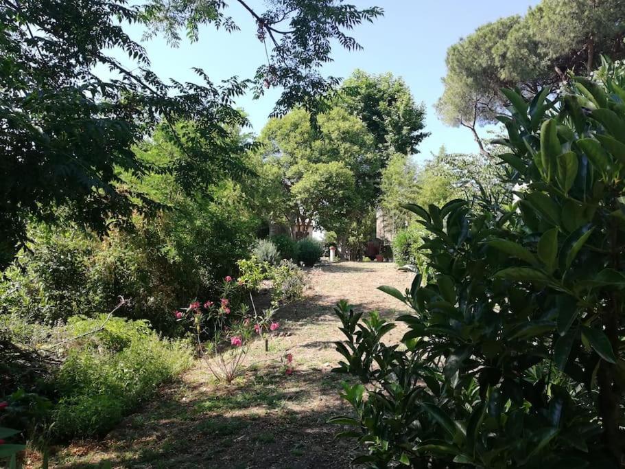 Appartamento Roma, Exteriör bild